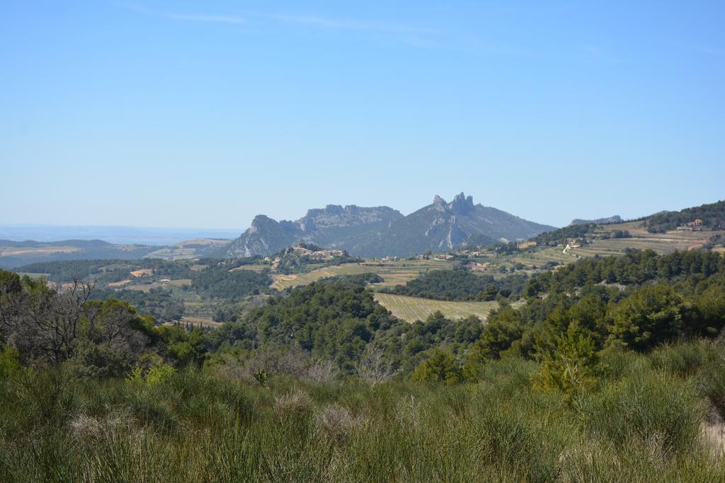 Mas De Carabelle Bed & Breakfast La Roque-Alric Екстериор снимка