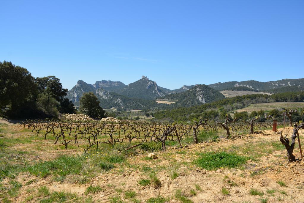 Mas De Carabelle Bed & Breakfast La Roque-Alric Екстериор снимка